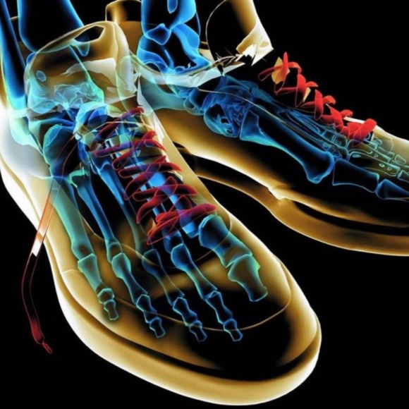 theshoeshark
